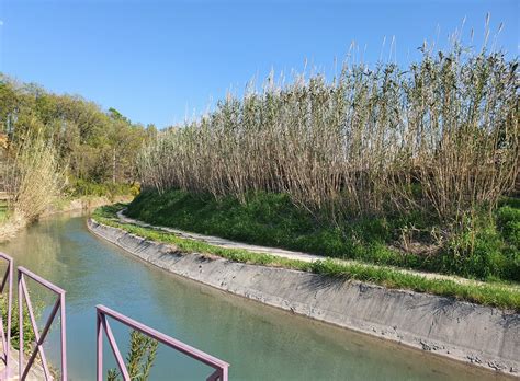 remise en eau canal craponne